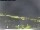 Webcam in Vrsar, 8.4 km entfernt