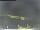 Webcam in Vrsar, 8.3 km entfernt