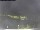 Webcam in Vrsar, 2.9 km