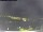 Webcam in Vrsar, 3.1 mi away