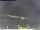 Webcam in Vrsar, 8.3 km