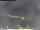 Webcam in Vrsar, 3.1 mi away