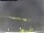 Webcam in Vrsar, 3.2 mi away