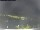 Webcam in Vrsar, 8.1 km