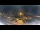Webcam in Funtana, 11.1 km