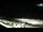 Webcam in Bibione, 0.1 mi away