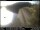 Webcam in Lüdenscheid, 11.9 km entfernt