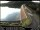 Webcam in Meschede, 11.2 mi away