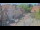 Webcam in Celle, 28.1 km