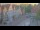 Webcam in Celle, 61 km entfernt
