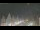 Webcam in Celle, 11.1 mi away