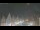 Webcam in Celle, 10.9 mi away