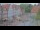 Webcam in Celle, 61.2 km
