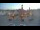 Webcam in Königsbrück, 54.2 km entfernt