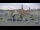 Webcam in Königsbrück, 43.4 km