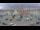 Webcam in Königsbrück, 16.6 km