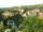 Webcam in Sasbachwald, 6 km