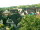 Webcam in Sasbachwalden, 9.5 mi away