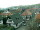 Webcam in Sasbachwalden, 5.9 km
