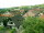 Webcam in Sasbachwalden, 3.5 km