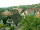 Webcam in Sasbachwalden, 9.4 km