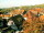 Webcam in Sasbachwalden, 24.6 km entfernt