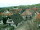 Webcam in Sasbachwalden, 2.2 mi away