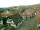 Webcam in Sasbachwalden, 5.9 km
