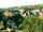 Webcam in Sasbachwalden, 20.7 km