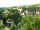 Webcam in Sasbachwalden, 28.2 km