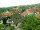 Webcam in Sasbachwald, 4.2 km