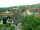 Webcam in Sasbachwald, 3.5 km