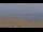 Webcam in Canet-en-Roussillon, 0 km