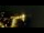 Webcam in Collioure, 2.1 mi away