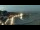 Webcam in Collioure, 1.6 mi away