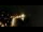 Webcam in Collioure, 4 km