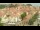 Webcam in Collioure, 6.6 km