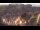 Webcam in Collioure, 4.3 km entfernt