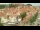 Webcam in Collioure, 5.5 km entfernt