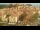 Webcam in Collioure, 5.5 km