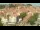 Webcam in Collioure, 5.5 km