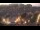 Webcam in Collioure, 0 mi away
