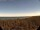 Webcam in Dierhagen, 2.4 km