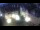 Webcam in Herborn, 29 km
