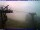 Webcam in Bad Kohlgrub, 7.9 km
