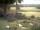 Webcam in Schneverdingen, 24.2 km