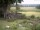 Webcam in Schneverdingen, 21 km