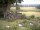 Webcam in Schneverdingen, 15.3 km