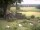 Webcam in Schneverdingen, 24.2 km