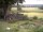 Webcam in Schneverdingen, 21 km